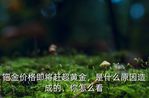 鈀金價(jià)格即將趕超黃金，是什么原因造成的，你怎么看