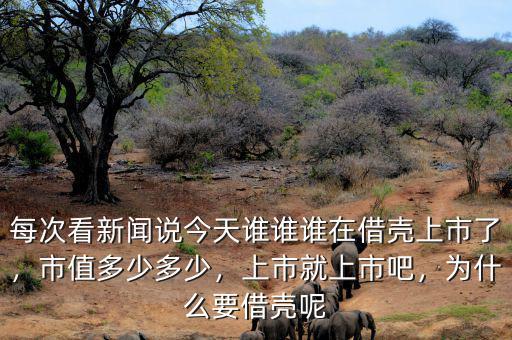 每次看新聞?wù)f今天誰誰誰在借殼上市了，市值多少多少，上市就上市吧，為什么要借殼呢