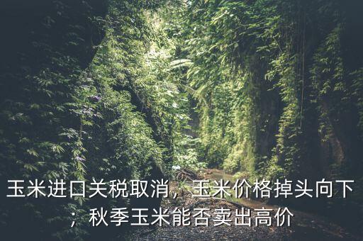 玉米進口關(guān)稅取消，玉米價格掉頭向下；秋季玉米能否賣出高價