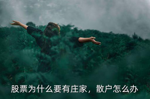 股票為什么要有莊家，散戶怎么辦
