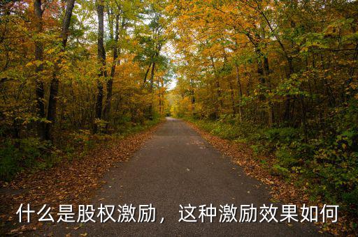 什么是股權(quán)激勵(lì)，這種激勵(lì)效果如何