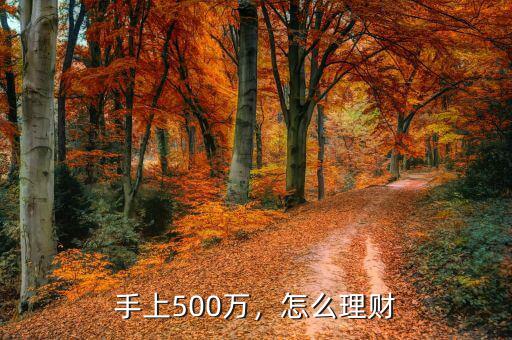 手上500萬(wàn)，怎么理財(cái)
