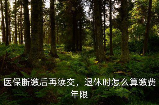醫(yī)保斷繳后再續(xù)交，退休時怎么算繳費年限
