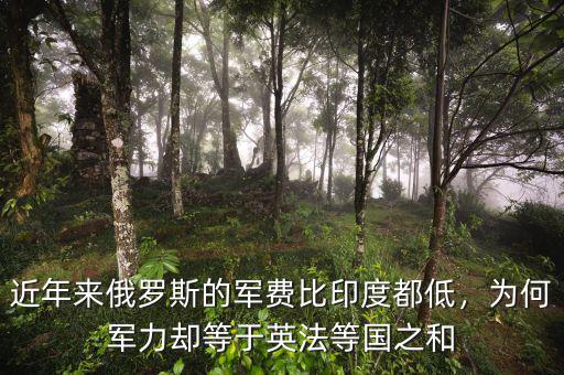 近年來俄羅斯的軍費(fèi)比印度都低，為何軍力卻等于英法等國之和