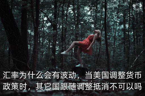 匯率為什么會(huì)有波動(dòng)，當(dāng)美國(guó)調(diào)整貨幣政策時(shí)，其它國(guó)跟隨調(diào)整抵消不可以嗎