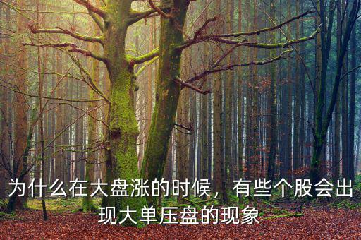 為什么在大盤漲的時候，有些個股會出現(xiàn)大單壓盤的現(xiàn)象