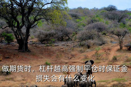 做期貨時(shí)，杠桿越高強(qiáng)制平倉時(shí)保證金損失會有什么變化