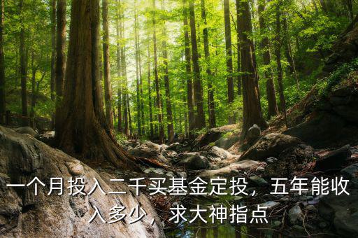 一個月投入二千買基金定投，五年能收入多少，求大神指點