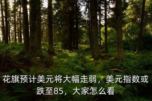 花旗預(yù)計(jì)美元將大幅走弱，美元指數(shù)或跌至85，大家怎么看