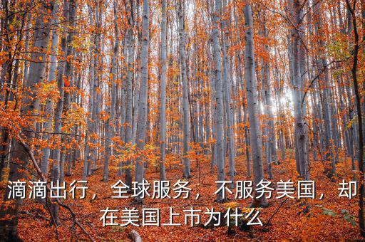 滴滴出行，全球服務(wù)，不服務(wù)美國(guó)，卻在美國(guó)上市為什么
