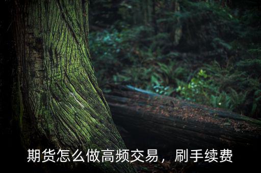 期貨怎么做高頻交易，刷手續(xù)費(fèi)