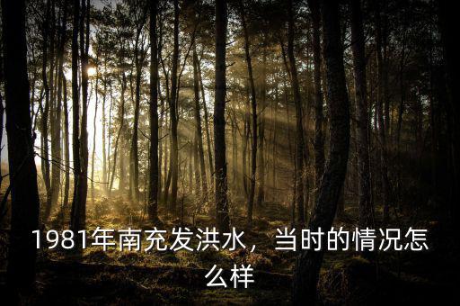 1981年南充發(fā)洪水，當(dāng)時的情況怎么樣