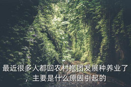 最近很多人都回農(nóng)村抱團(tuán)發(fā)展種養(yǎng)業(yè)了，主要是什么原因引起的