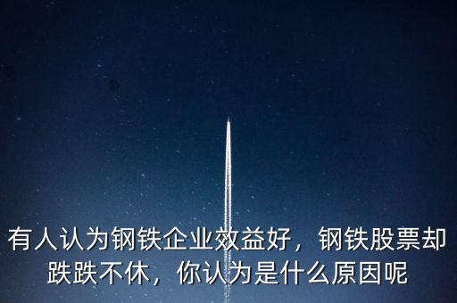 有人認為鋼鐵企業(yè)效益好，鋼鐵股票卻跌跌不休，你認為是什么原因呢