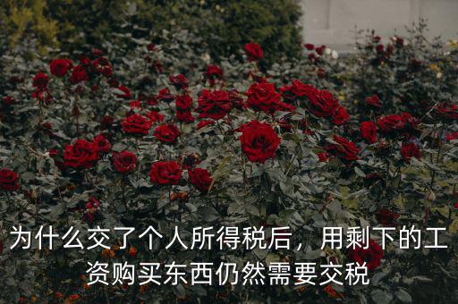 為什么交了個(gè)人所得稅后，用剩下的工資購買東西仍然需要交稅