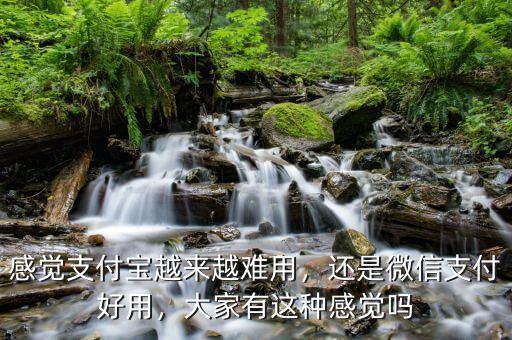 感覺(jué)支付寶越來(lái)越難用，還是微信支付好用，大家有這種感覺(jué)嗎