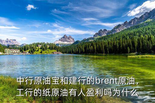 中行原油寶和建行的brent原油，工行的紙?jiān)陀腥擞麊釣槭裁? class=