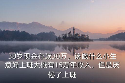 38歲現(xiàn)金存款30萬(wàn)，該做什么小生意好上班大概有15萬(wàn)年收入，但是厭倦了上班