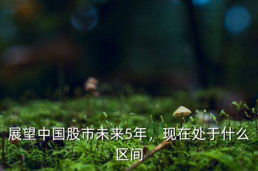 展望中國(guó)股市未來(lái)5年，現(xiàn)在處于什么區(qū)間