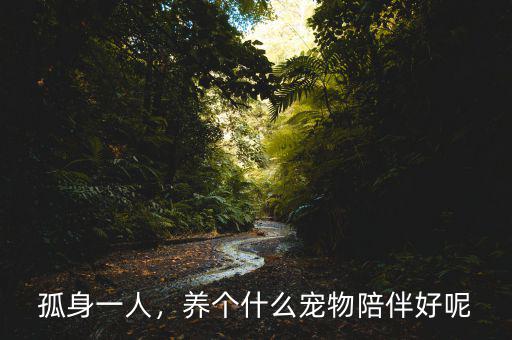 孤身一人，養(yǎng)個(gè)什么寵物陪伴好呢