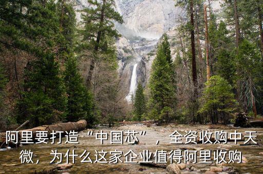 阿里要打造“中國(guó)芯”，全資收購(gòu)中天微，為什么這家企業(yè)值得阿里收購(gòu)