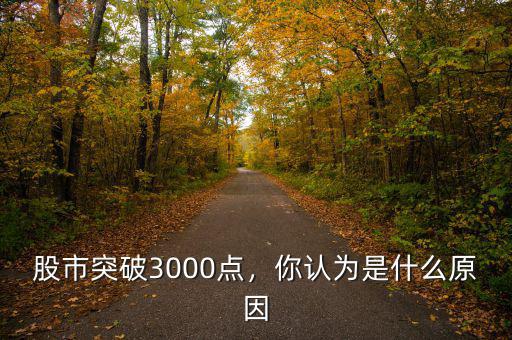股市突破3000點(diǎn)，你認(rèn)為是什么原因