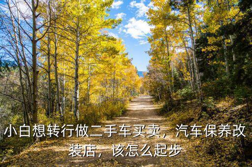 小白想轉(zhuǎn)行做二手車買賣，汽車保養(yǎng)改裝店，該怎么起步