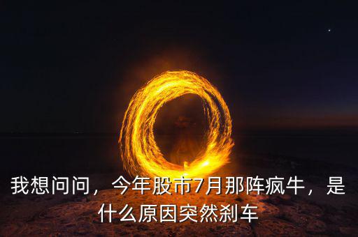 我想問問，今年股市7月那陣瘋牛，是什么原因突然剎車