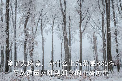 除了大環(huán)境，為什么上汽榮威RX5汽車從銷量網(wǎng)紅到如今的下滑厲害