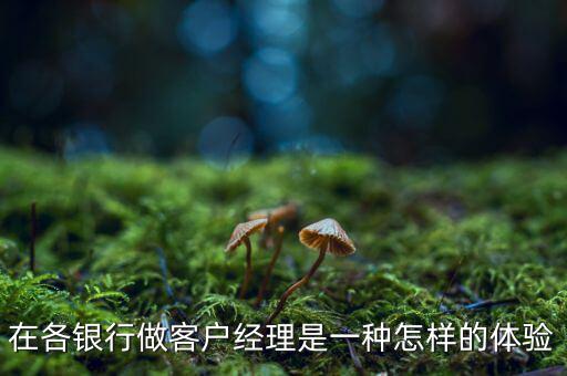 在各銀行做客戶經理是一種怎樣的體驗