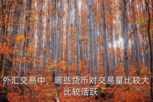 外匯交易中，哪些貨幣對交易量比較大，比較活躍