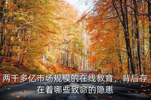兩千多億市場規(guī)模的在線教育，背后存在著哪些致命的隱患