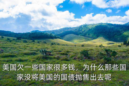 美國欠一些國家很多錢，為什么那些國家沒將美國的國債拋售出去呢