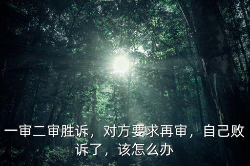 一審二審勝訴，對(duì)方要求再審，自己敗訴了，該怎么辦