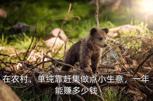一鼎旺一年利潤(rùn)能賺多少,一年能賺多少錢(qián)