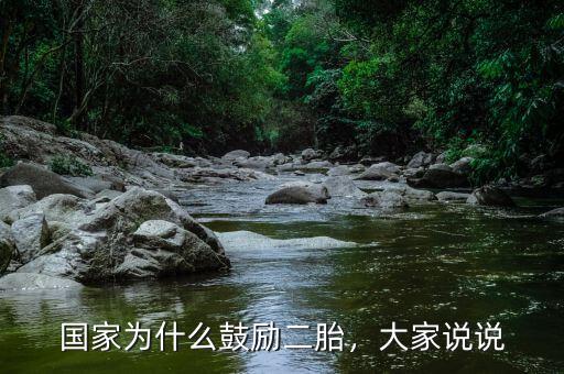 國家為什么鼓勵二胎，大家說說