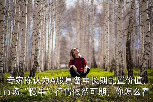 專家稱認(rèn)為A股具備中長期配置價(jià)值，市場“慢?！毙星橐廊豢善?，你怎么看
