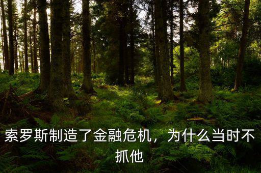 索羅斯制造了金融危機(jī)，為什么當(dāng)時(shí)不抓他