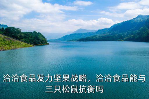 洽洽食品發(fā)力堅(jiān)果戰(zhàn)略，洽洽食品能與三只松鼠抗衡嗎