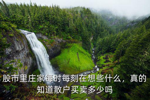 股市里莊家每時每刻在想些什么，真的知道散戶買賣多少嗎