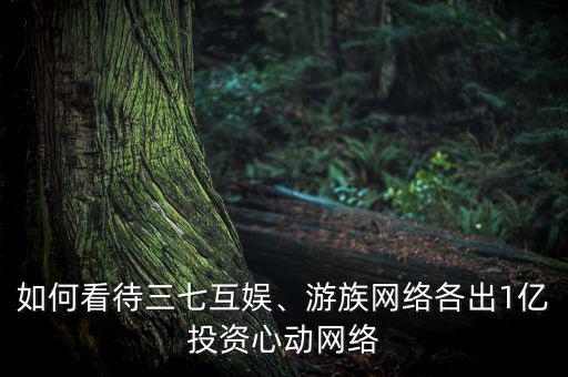 如何看待三七互娛、游族網(wǎng)絡(luò)各出1億投資心動網(wǎng)絡(luò)