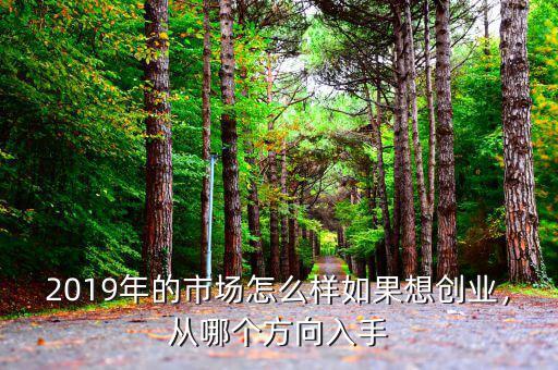 2019年的市場怎么樣如果想創(chuàng)業(yè)，從哪個方向入手