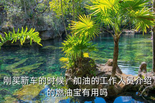 剛買新車的時(shí)候，加油的工作人員介紹的燃油寶有用嗎