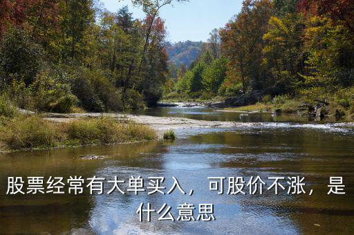 股票經(jīng)常有大單買入，可股價(jià)不漲，是什么意思
