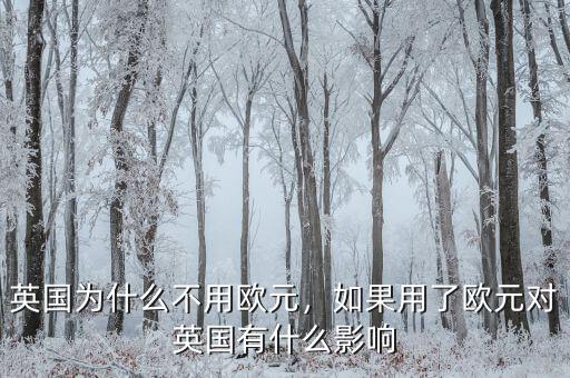 英國為什么不用歐元，如果用了歐元對英國有什么影響