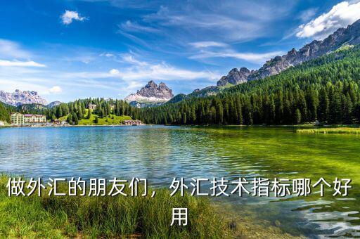 做外匯的朋友們，外匯技術(shù)指標(biāo)哪個(gè)好用