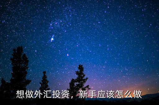 想做外匯投資，新手應(yīng)該怎么做