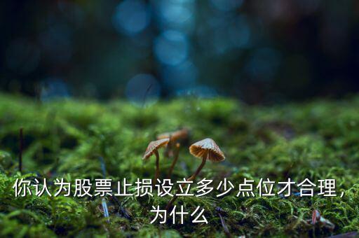 你認(rèn)為股票止損設(shè)立多少點(diǎn)位才合理，為什么