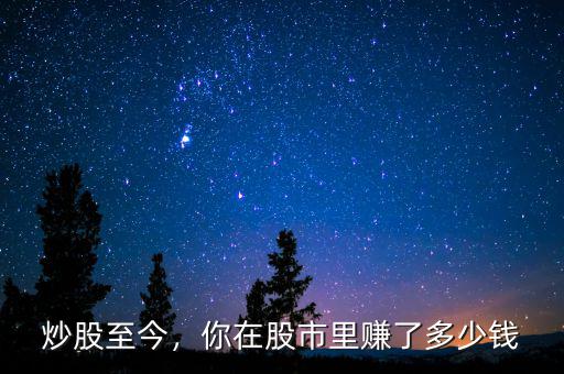 炒股至今，你在股市里賺了多少錢