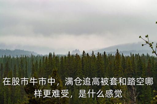 在股市牛市中，滿倉(cāng)追高被套和踏空哪樣更難受，是什么感覺(jué)